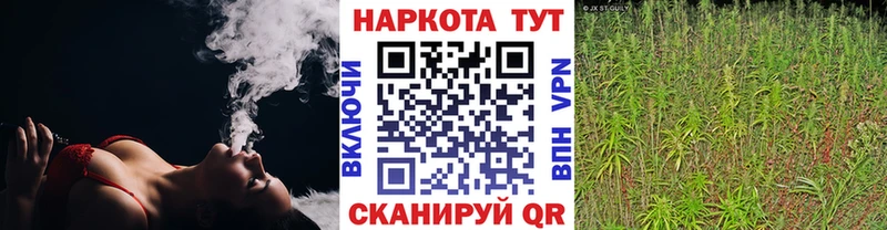 Продажа наркотиков Тамбов ГАШИШ  Галлюциногенные грибы  A PVP  МАРИХУАНА  Мефедрон  Кокаин 