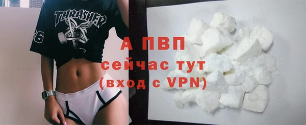 тгк Абаза