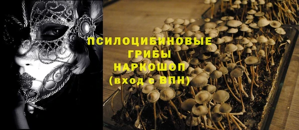 эйфоретик Алзамай