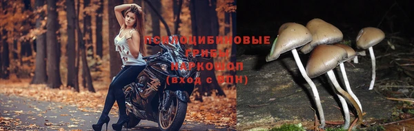 jwh Абдулино