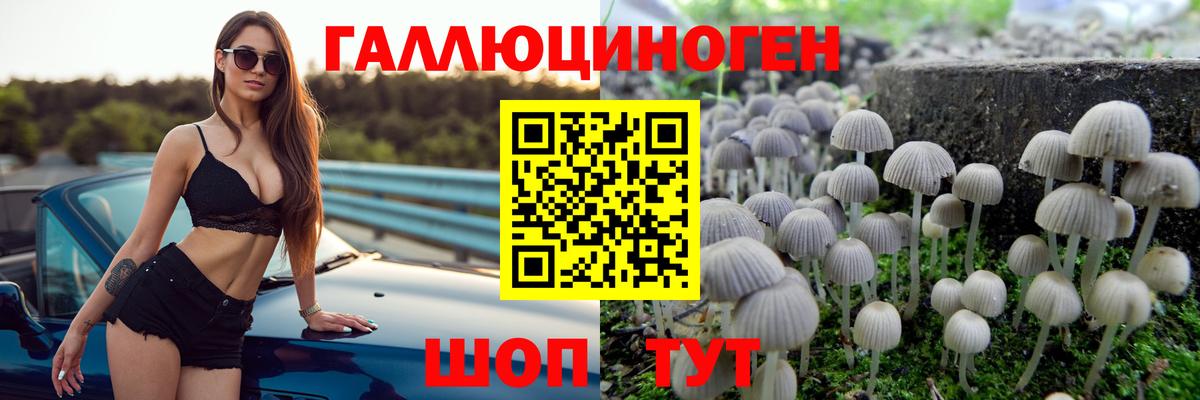 Псилоцибиновые грибы GOLDEN TEACHER  Вход с VPN  Тамбов 